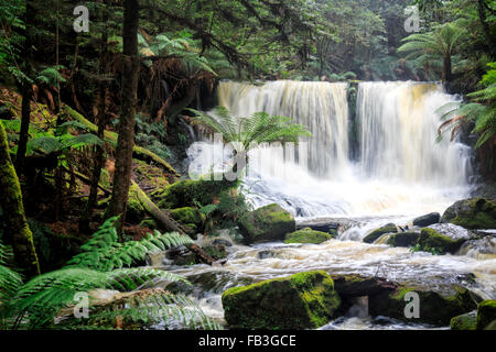 Cascate Horseshoe, Parco Nazionale Mt Field, Tasmania, Australia Foto Stock