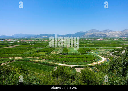 Area fertile vicino Makarska Riviera, Dalmazia, Croazia Foto Stock