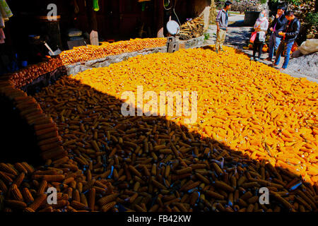 Villaggio Baisha,Mais, essiccazione,paesani,cortili,Arts,fatto a mano rame battuto objects,Lijiang,Yunnan,PRC,Repubblica Popolare,Cina Foto Stock