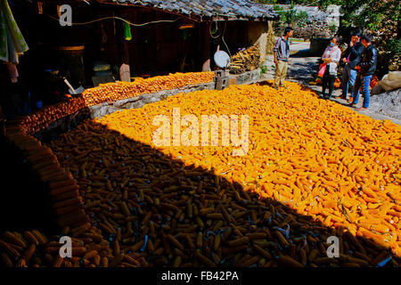 Villaggio Baisha,Mais, essiccazione,paesani,cortili,Arts,fatto a mano rame battuto objects,Lijiang,Yunnan,PRC,Repubblica Popolare,Cina Foto Stock