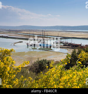 Parco naturale di Secovlje Salina, Slovenia. Foto Stock