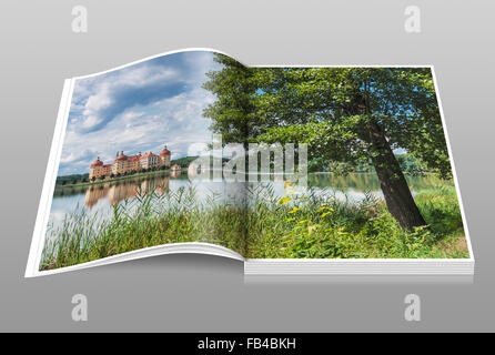 Castello di Moritzburg vicino a Dresda, distretto amministrativo di Meissen, in Sassonia, Germania, Europa Foto Stock