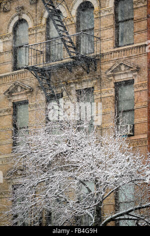 Chelsea edificio con via di fuga in caso di incendi e coperta di neve albero, tempesta di neve, Manhattan New York City