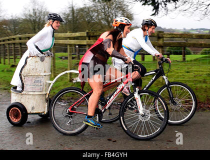 Llanwrtwd Wells, Powys, Regno Unito. 9 gennaio, 2016. "Gluteous Maximus 'Team nel mondo Mountain Bike Chariot Racing Campionati 2016, Credit: Supated/Alamy Live News Foto Stock