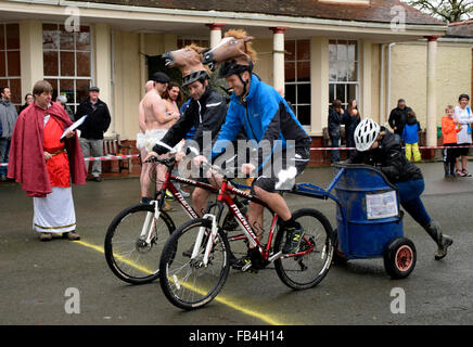 Llanwrtwd Wells, Powys, Regno Unito. 9 gennaio, 2016. ' Wild Mustangs' team ,i vincitori del Mondo di Mountain Bike Chariot Racing Campionati 2016 Credit: Supated/Alamy Live News Foto Stock