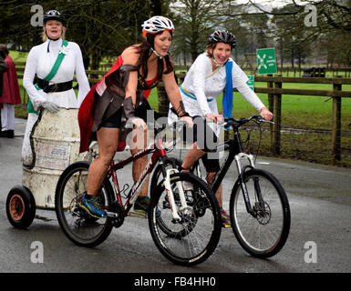 Llanwrtwd Wells, Powys, Regno Unito. 9 gennaio, 2016. "Gluteous Maximus' team in azione nel mondo di Mountain Bike Chariot Racing Campionati 2016, Credit: Supated/Alamy Live News Foto Stock