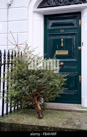 Abbandonati gli alberi di Natale che giace nelle strade Foto Stock