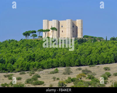 Castel del Monte 01 Foto Stock