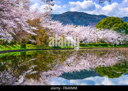 Kyoto, Japan Spring nel quartiere Arashiyama. Foto Stock