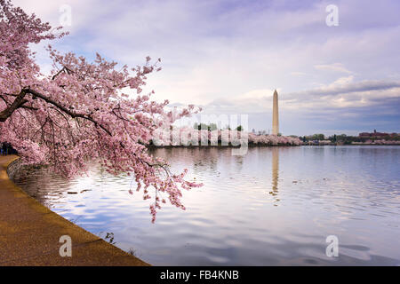 Washington DC, Stati Uniti d'America presso il bacino di marea con il Monumento a Washington nella stagione primaverile. Foto Stock