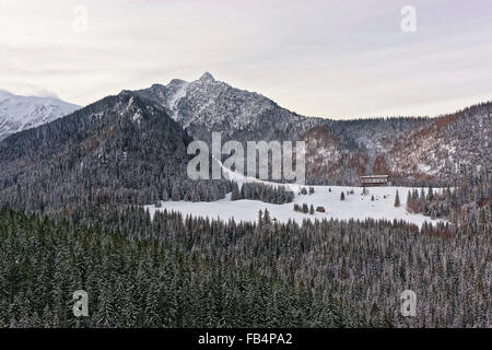 Casa nel Bosco di Kasprowy Wierch a Zakopane in Tatra in inverno. Zakopane è una città della Polonia nei Monti Tatra. Kasprowy Wierch è un supporto a Zakopane e il più popolare area sciistica in Polonia Foto Stock