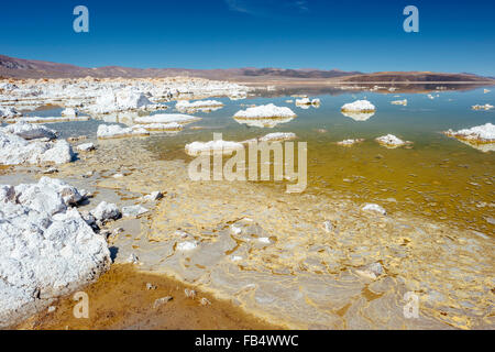 Calcio-carbonato di rocce la linea della riva del lago Mono, California Foto Stock