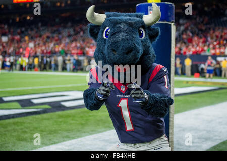 Houston, Texas, Stati Uniti d'America. Il 9 gennaio, 2016. Houston Texans mascotte Toro durante il quarto trimestre di un playoff NFL Game tra Houston Texans e il Kansas City Chiefs a NRG Stadium di Houston, TX su Gennaio 9th, 2016 nell'AFC wild card game. Credito: Trask Smith/ZUMA filo/Alamy Live News Foto Stock