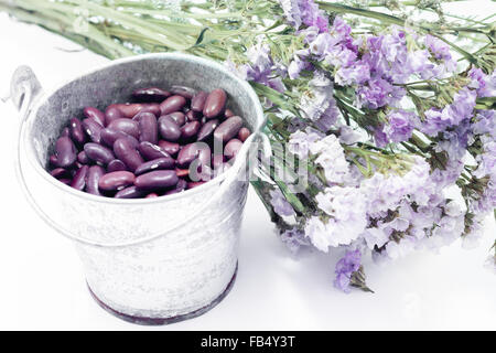 Rosso a fagiolo e fiore statico, stock photo Foto Stock