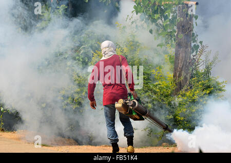 Uomo di appannamento per prevenire la diffusione della febbre dengue in Thailandia Foto Stock