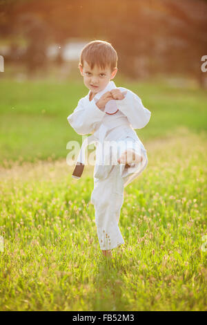 Ragazzo di età prescolare a praticare il karate all'aperto Foto Stock