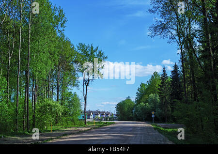 Strada di sabbia attraverso la molla foresta vicino villaggio. Di sera. Foto Stock