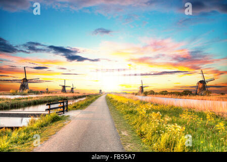 Mulini a vento e acqua canal a Kinderdijk, Paesi Bassi Foto Stock