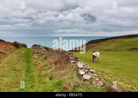 Alderney, Isole del Canale Foto Stock