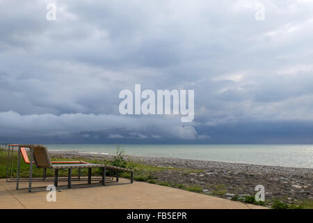 Lettini da mare a Batumi, Georgia Foto Stock