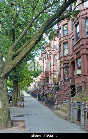 Stati Uniti d'America, Usa: arenaria rowhouses lungo un viale di Brooklyn, New York, marrone rossastro arenaria Foto Stock