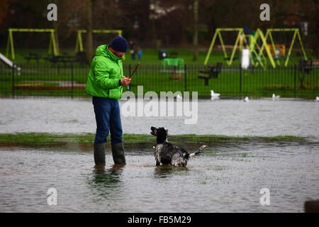 Tonbridge, Kent, Inghilterra 10 Gennaio 2016: un uomo si prepara a lanciare un bastone per il suo cane ad inseguire in alluvioni su un campo da gioco in Tonbridge. Ultimi heavy rain ha lasciato i campi da gioco parzialmente allagato e il terreno saturo e il fiume Medway (che scorre attraverso la città) è attualmente banca pieno. Credito: James Brunker / Alamy Live News Foto Stock