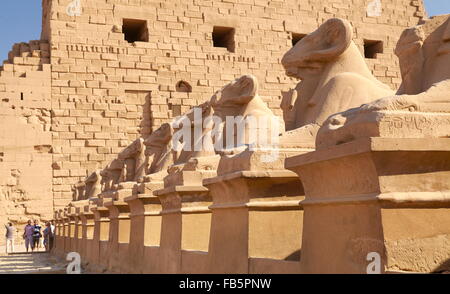 Avenue di montoni nel Tempio di Karnak, Karnak, Egitto Foto Stock
