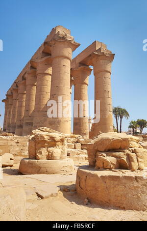 Egitto - Tempio di Luxor Foto Stock