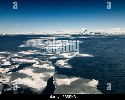 L'Antartide, mare di Weddell, ghiacci galleggianti off continental shelf di ghiaccio Foto Stock