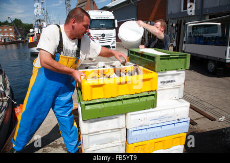 Porto di pescatori, Burgstaaken, Fehmarn island, Mar Baltico, Schleswig-Holstein, Germania Foto Stock