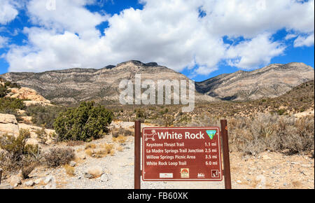 Sentiero in Red Rock Canyon National Conservation Area 20 miglia ad ovest di Las Vegas, NV, STATI UNITI D'AMERICA Foto Stock