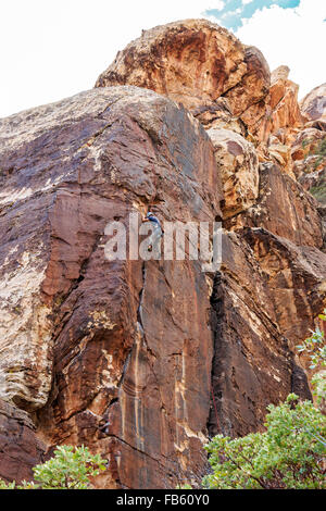 Scalatore scale rock in Red Rock Canyon National Conservation Area, 20 miglia ad ovest di Las Vegas, NV, Stati Uniti d'America. Foto Stock