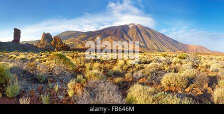 Tenerife - vista panoramica del monte Teide e Los Roques de Garcia, Parco Nazionale di Teide Isole Canarie Spagna Foto Stock