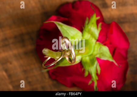 SIngle red rose sul tavolo di legno con una coppia di anelli di nozze Foto Stock