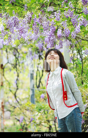 Nuova Città di Taipei, Taiwan - Apr 11,2012 : Wisteria floribunda con bel colore e sfondo Foto Stock