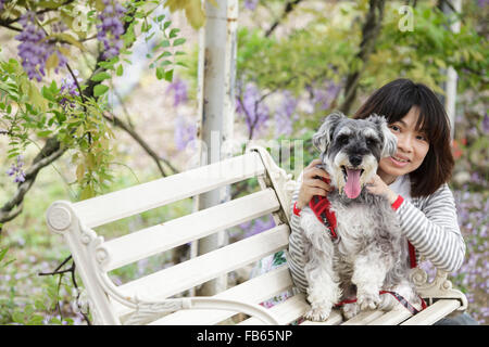 Nuova Città di Taipei, Taiwan - Apr 11,2012 : Wisteria floribunda con bel colore e sfondo Foto Stock