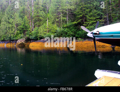Idrovolanti volo turistico in Rudyerd Bay della bella Misty Fjords vicino a Ketchikan, Alaska Foto Stock