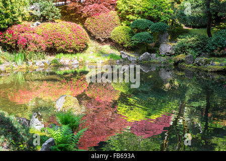Il rosso e il verde delle piante riflesso in un giardino giapponese a Portland, Oregon Foto Stock
