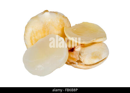 Asian Palmyra palm, Toddy palm isolati su sfondo bianco. Foto Stock