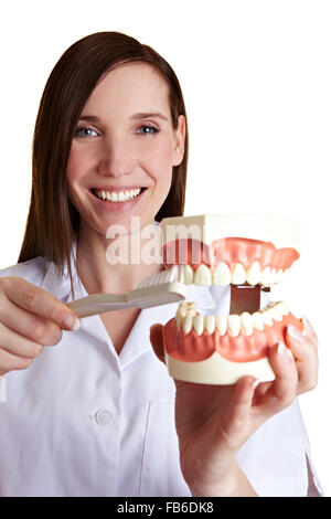 Donna sorridente dentista spiega come lavarsi i denti Foto Stock