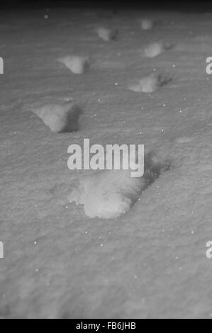 Impronte sulla neve fresca di notte in fuga il buio, il fuoco selettivo Foto Stock