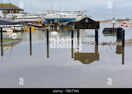 Christchurch, Dorset, Regno Unito. 11 gennaio, 2016. Christchurch Sailing Club, Quay colpite da alluvioni. Pettini e alberi spazzati verso il basso gonfio fiume Stour creare pericoli quando acqua receeds lunedì 11 gennaio 2016. Cigni piace mangiare l'erba attraverso l'acqua di inondazione. Credito: Roger Allen Fotografia/Alamy Live News Foto Stock