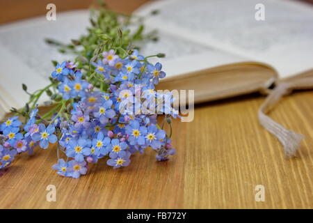 Dimenticare me not giacente sul libro aperto Foto Stock