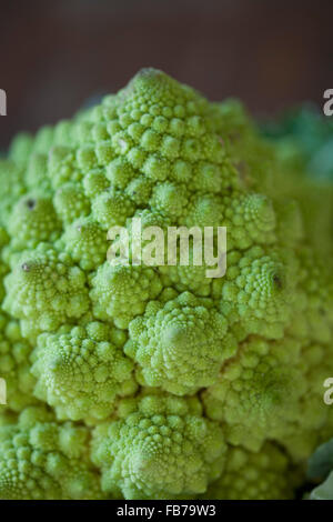 Close-up di cavolfiore Romanesco Foto Stock