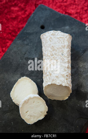 Maturato i formaggi di capra log con un bianco cremoso scorza di stampo. Ragstone da Neil's Yard Foto Stock