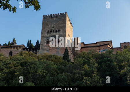 La torre del palazzo dell'Alhambra di Granada prese dalle rive del fiume Darro sotto alla ricerca fino al blu intenso del cielo. Foto Stock