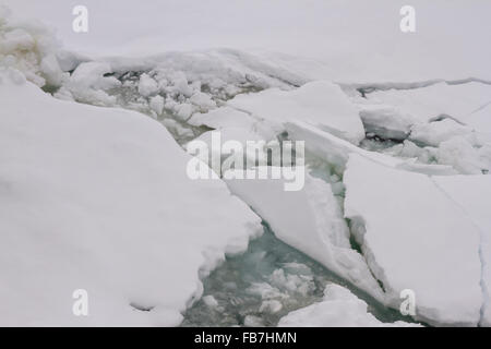 Close up della banchisa, growlers e bergie bit floating in Antartide. Foto Stock