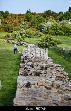 BBC Music giorno "per amore della musica' del Vallo di Adriano del suono a Heddon sulla parete Heddon-su-il-parete è un villaggio appena outsid Foto Stock