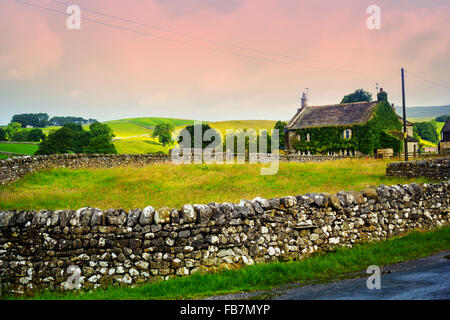 Bello, vecchio cottage inglese con muro di pietra, Yorkshire, Inghilterra Foto Stock