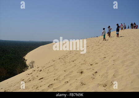 Le Bassin d'Arcachon, Bordeaux, Francia Foto Stock